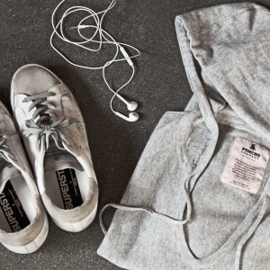 Grey-and-GoldenGoose